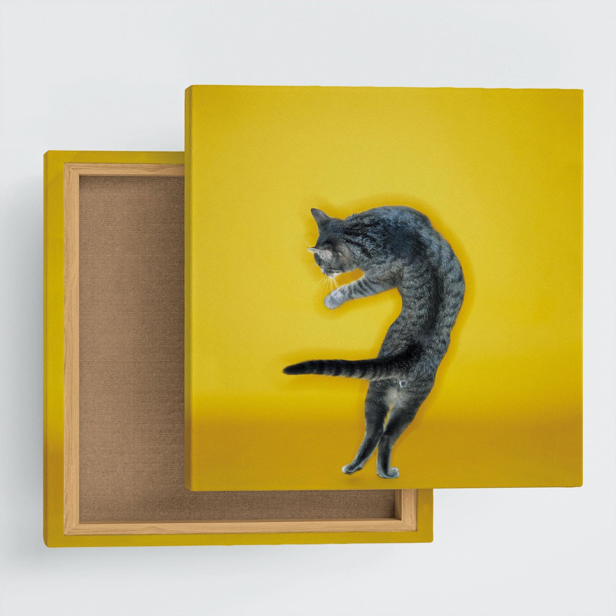 【数量限定】猫 動物 アートパネル 100cm × 100cm XLサイズ 日本 Amazon.co.jp: 猫 動物 アートパネル 100cm × 100cm XLサイズ 日本製